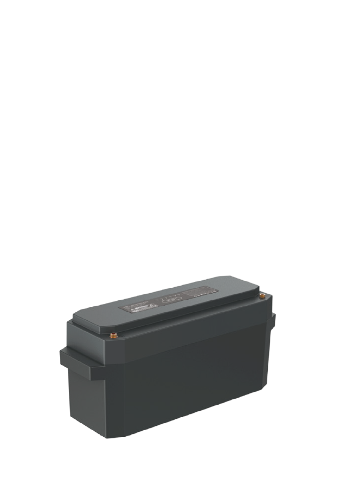 Everfeed 12V battery